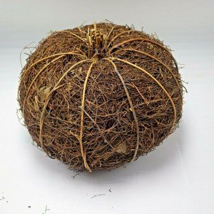 Pumpkin Natural Coir coconut fibre Sculpture rustic Shabby Autumn Fall Craft